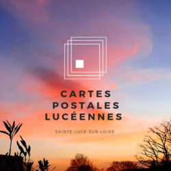 CARTES POSTALES LUCEENNES