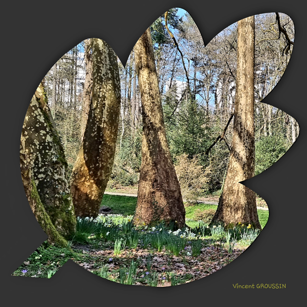 Parc de la Gaudinière à NANTES (44)